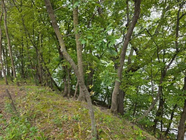 $89,900 | 16499 740th Avenue, Dassel, MN 55325