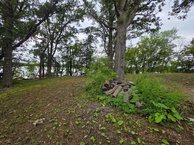 $89,900 | 16499 740th Avenue, Dassel, MN 55325