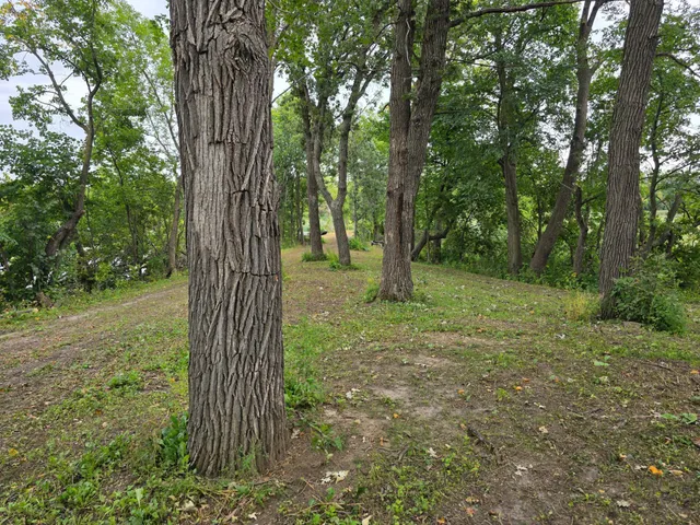 $89,900 | 16499 740th Avenue, Dassel, MN 55325