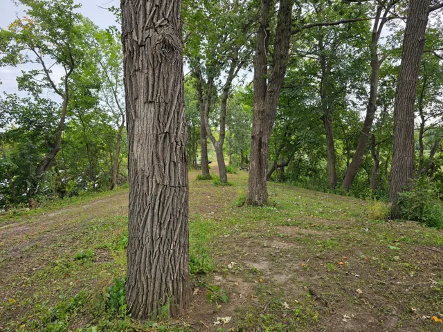 $89,900 | 16499 740th Avenue, Dassel, MN 55325