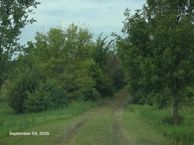 $89,900 | 16499 740th Avenue, Dassel, MN 55325