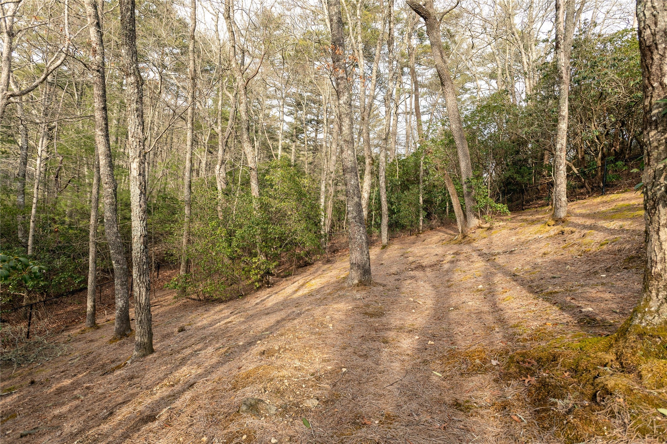 147 Hammond Road Highlands, NC 28741 - Photo 80 of 85 Gallery Image 80