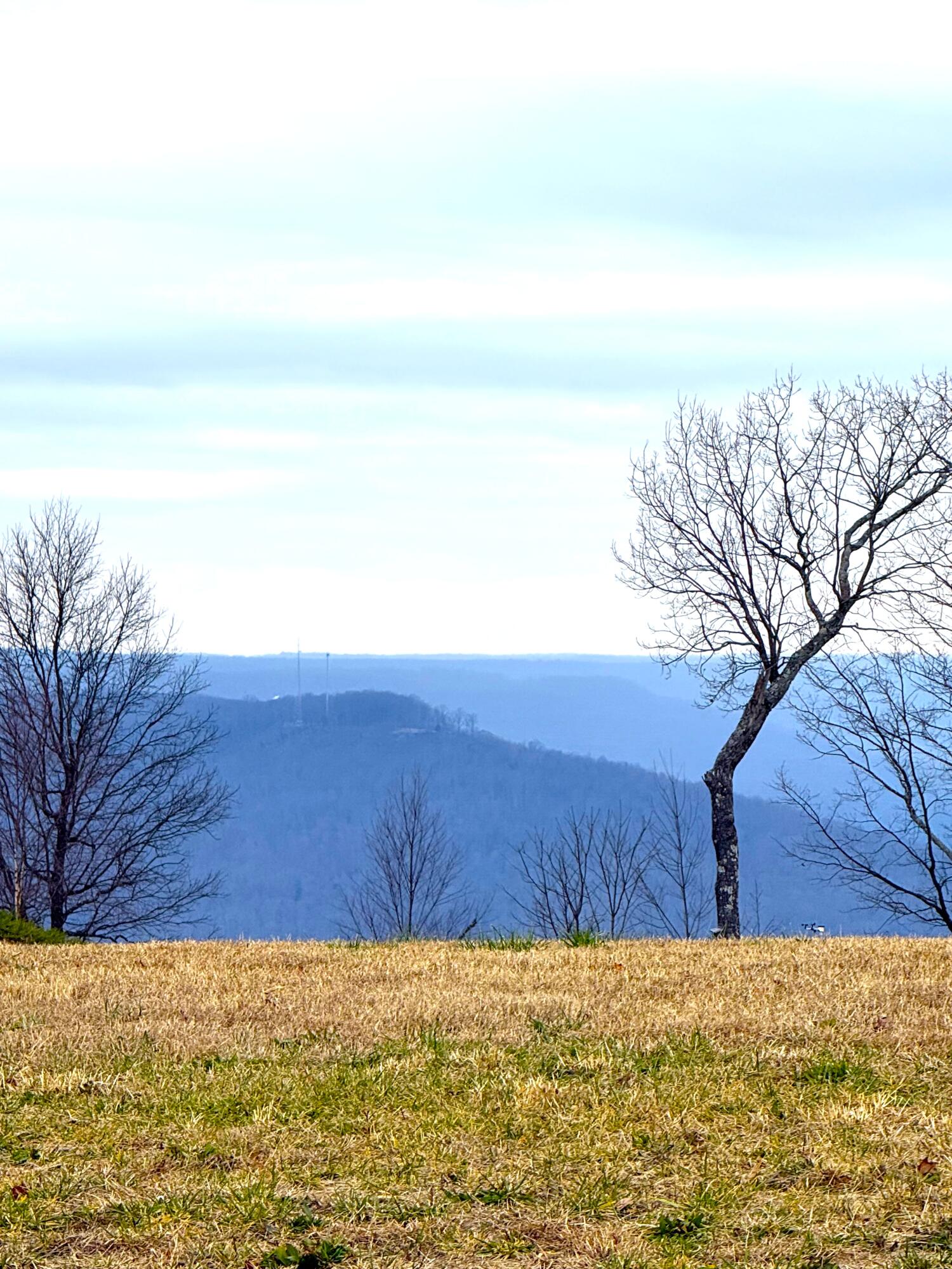 0 Sunset Circle, Unit LOT 128 Jasper, TN 37347 - Photo 2 of 14 IMG_2713