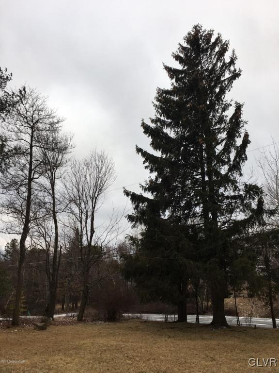 1568 Clover Road Long Pond, PA 18334 - Photo 11 of 14 a view of a yard with a tree