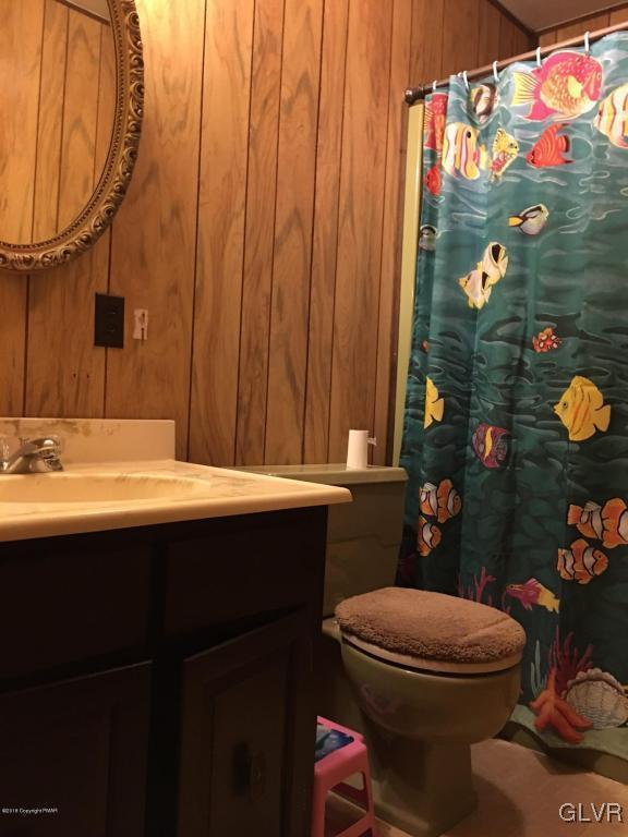 1568 Clover Road Long Pond, PA 18334 - Photo 8 of 14 a bathroom with a sink mirror vanity and toilet