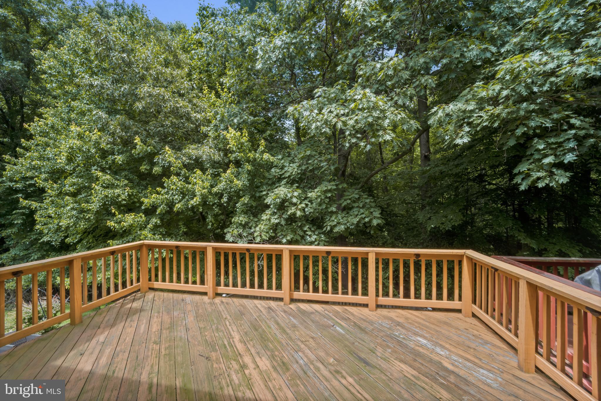 11459 Encore Drive Silver Spring, MD 20901 - Photo 14 of 35