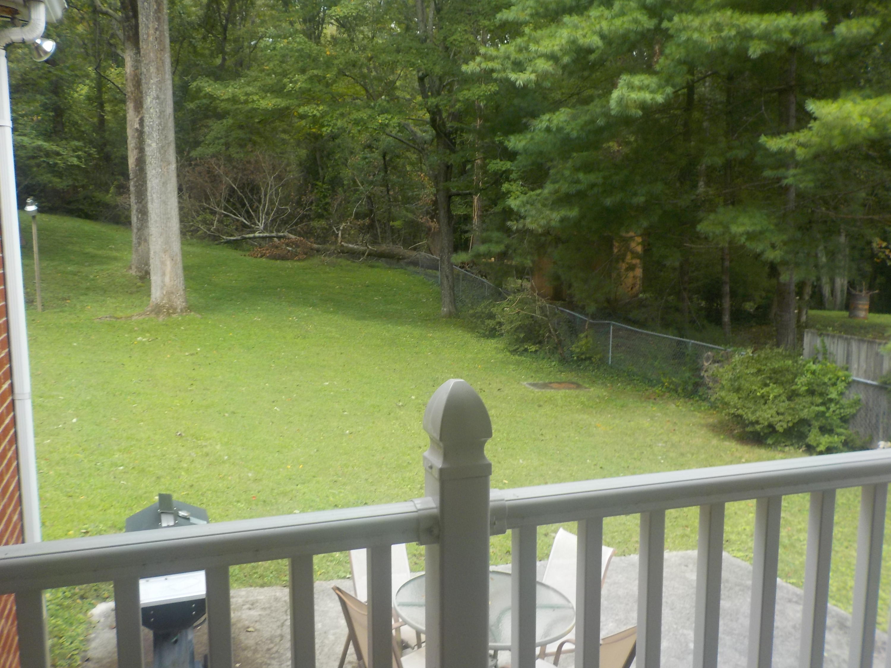 105 Marion Road Oak Ridge, TN 37830 - Photo 8 of 30 View from Back Porch