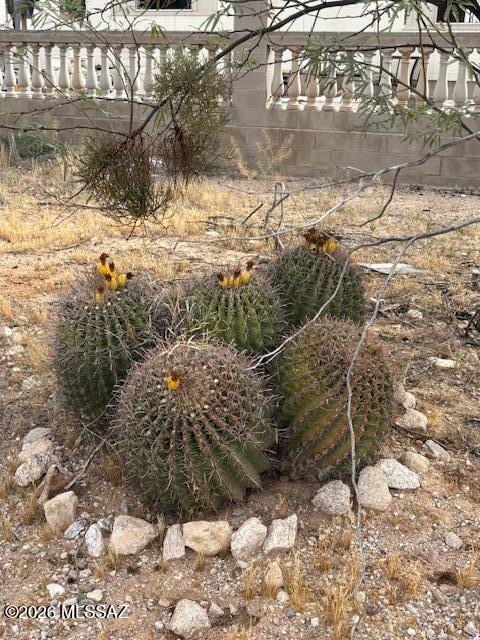 11380 West Valencia Road Tucson, AZ 85735 - Photo 6 of 11
