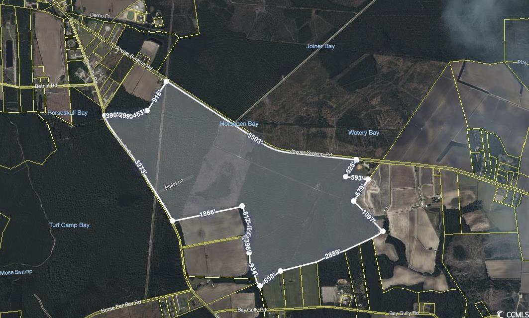 Tbd Joyner Swamp Road Aynor, SC 29511 - Photo 4 of 5 Map location