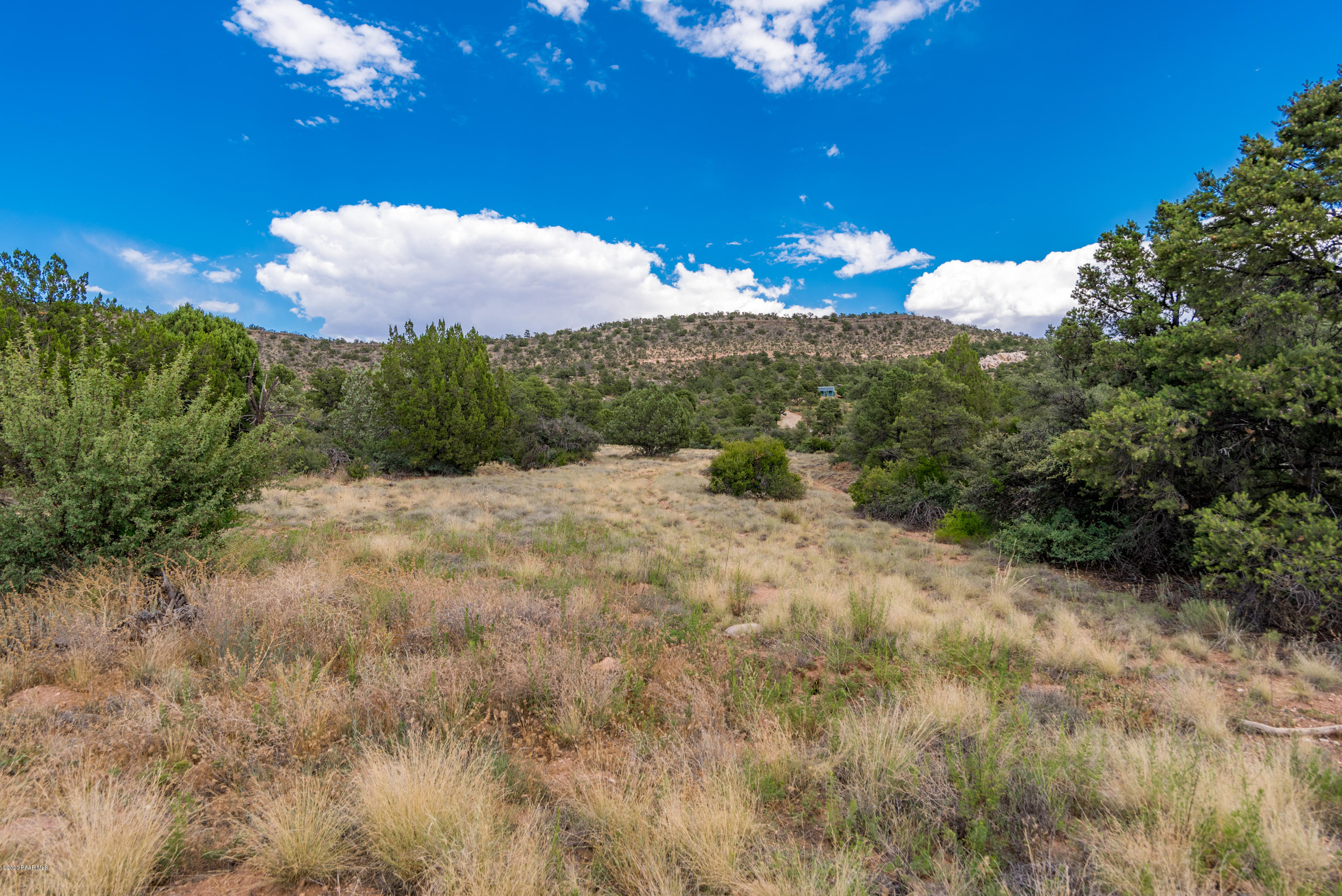 16753 North Indian Ruins Road Prescott, AZ 86305 - Photo 1 of 15 DSC_3178