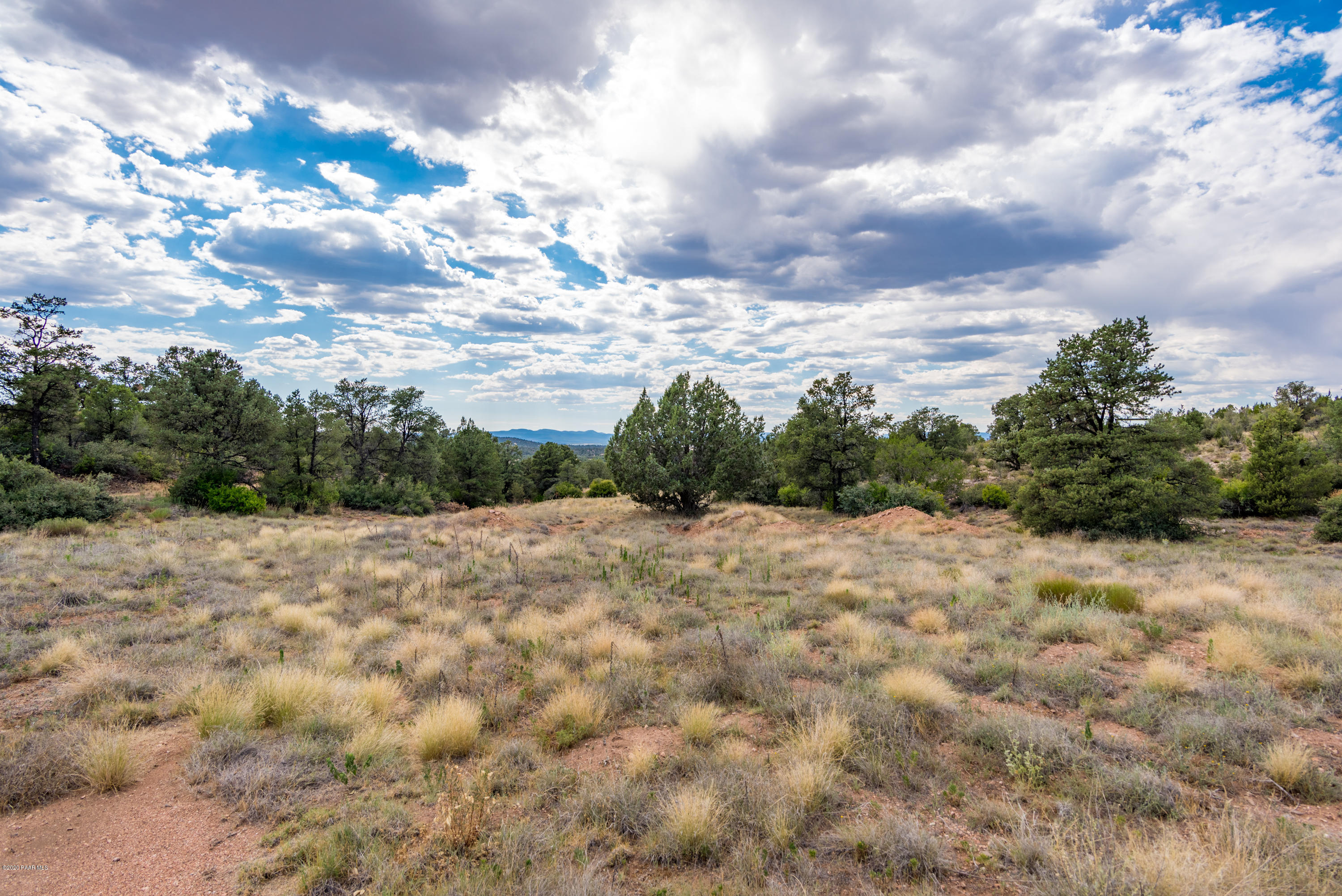 16753 North Indian Ruins Road Prescott, AZ 86305 - Photo 6 of 15 DSC_3182
