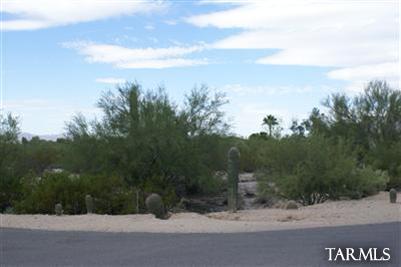 1093 West Panorama Road Tucson, AZ 85704 - Photo 2 of 6 Gallery Image 2