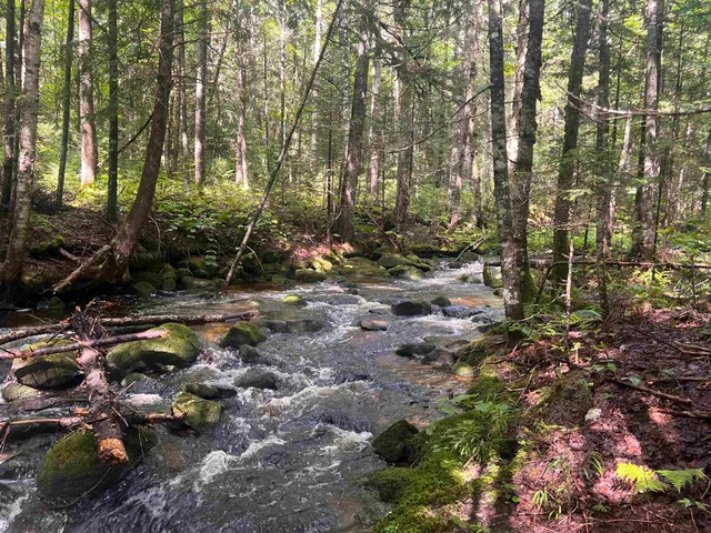 $229,000 | Lot 90.1 Kimball Road, Lunenburg, VT 05906