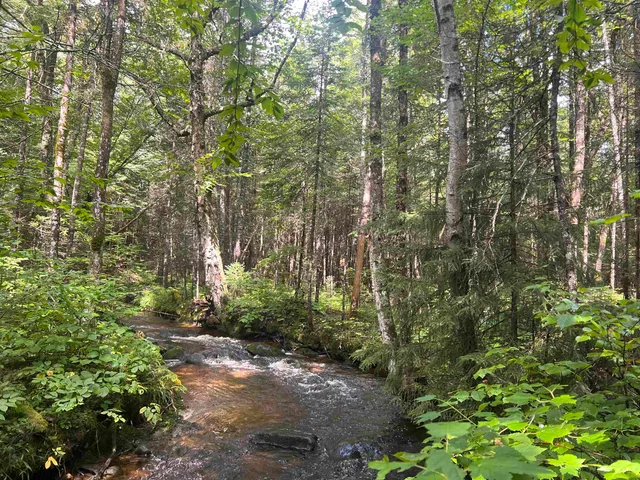 $229,000 | Lot 90.1 Kimball Road, Lunenburg, VT 05906