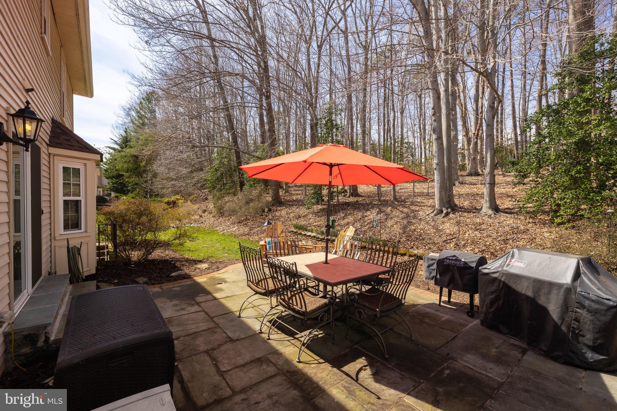 7736 Huntsman Boulevard Springfield, VA 22153 - Photo 59 of 70 Patio overlooks parkland