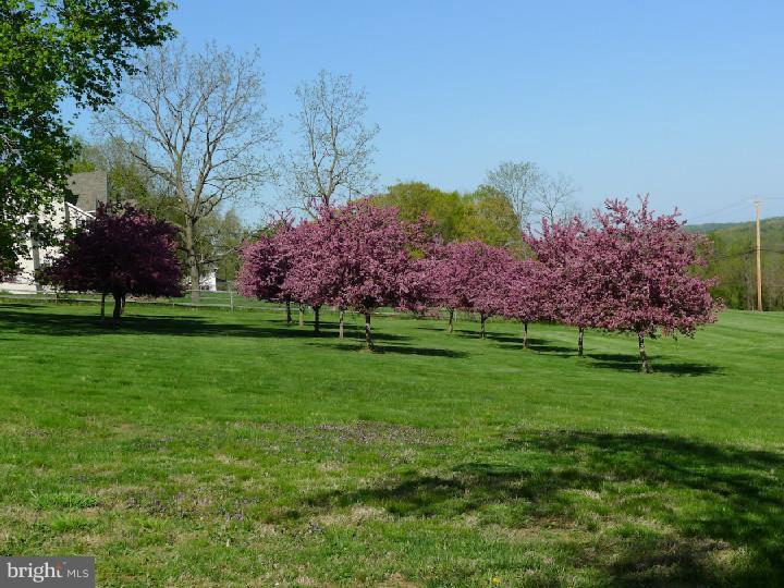 206 Ferry Road Doylestown, PA 18901 - Photo 22 of 25