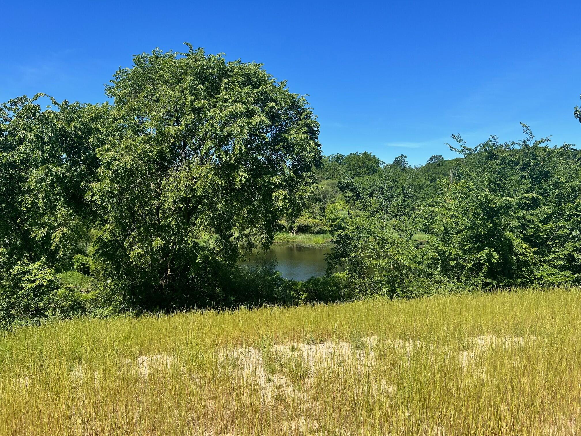12860 Baker Court Crown Point, IN 46307 - Photo 2 of 3 a view of a lake view