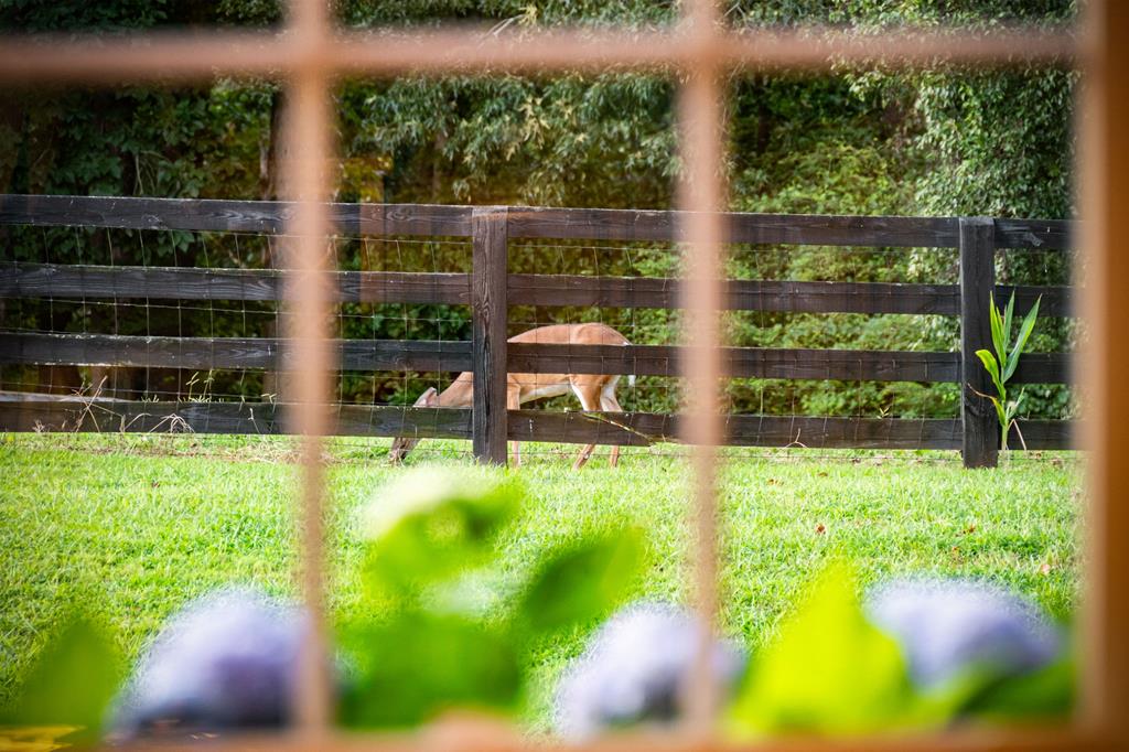 640 A J Land Road Canton, GA 30115 - Photo 93 of 94 a view of an outdoor space and deck