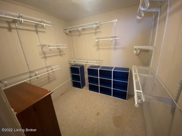 3323 Radiance Road Louisville, KY 40220 - Photo 27 of 41 IMG_2782