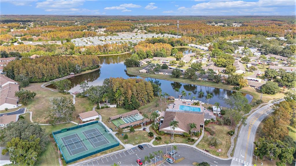 4636 Portland Manor Drive New Port Richey, FL 34655 - Photo 35 of 37 an aerial view of multiple house