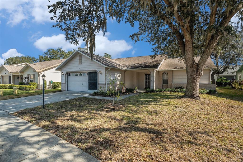 4636 Portland Manor Drive New Port Richey, FL 34655 - Photo 4 of 37 a view of a yard in front of a house with large trees