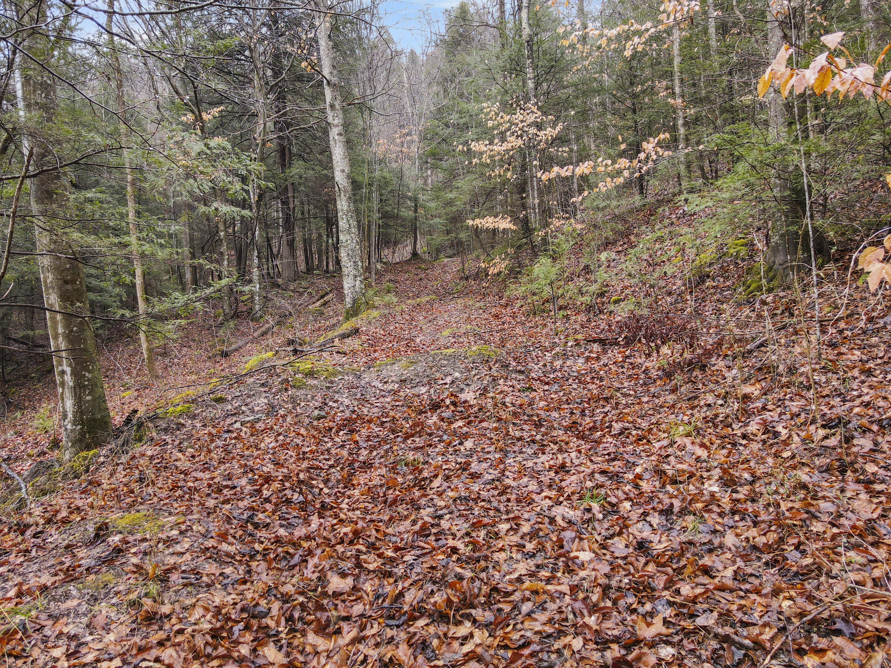 0 South Fork Road Stanton, KY 40380 - Photo 1 of 24 DJI_0296
