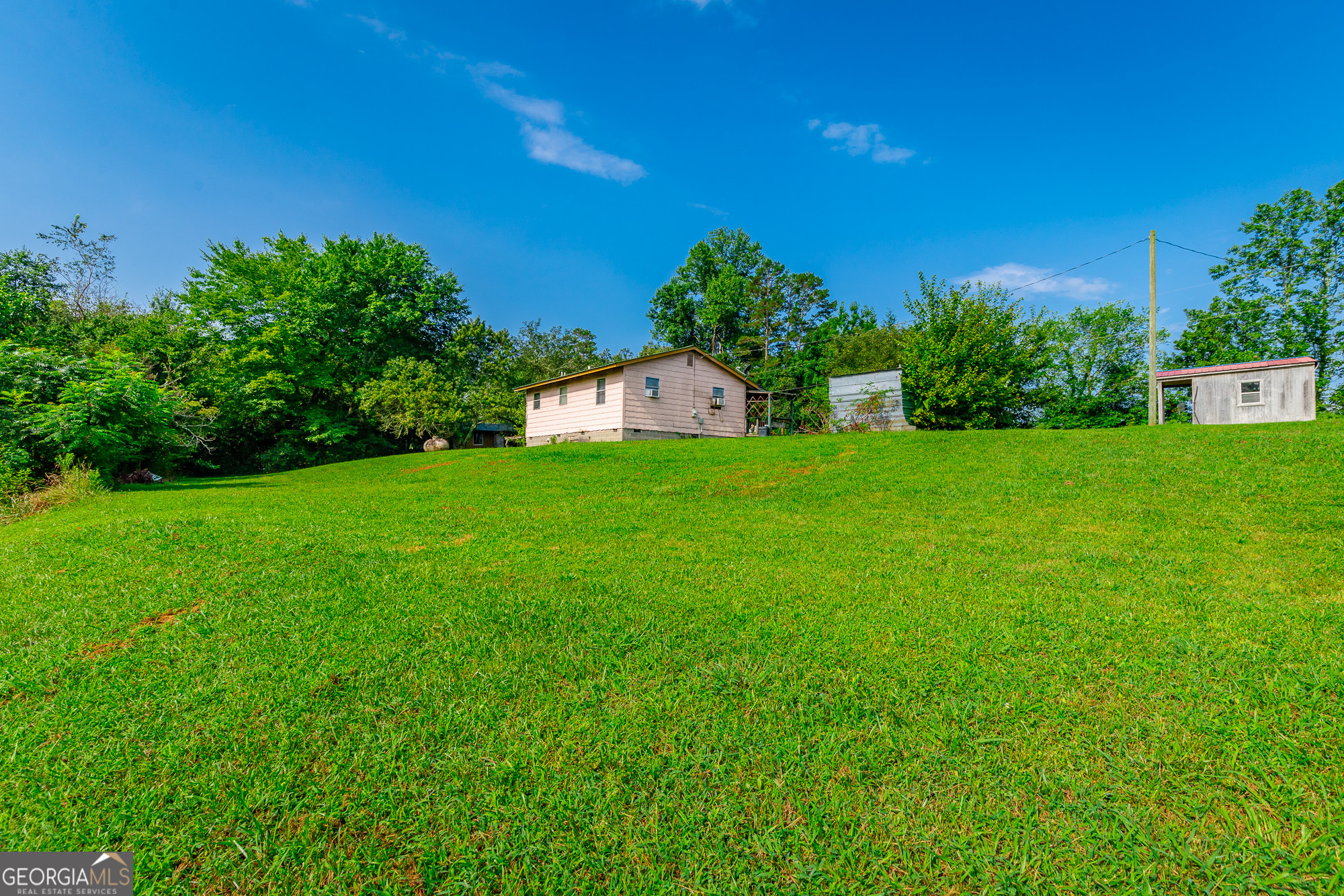 77 Bolton Road Trenton, GA 30752 - Photo 20 of 47 a view of a big yard with plants and large trees