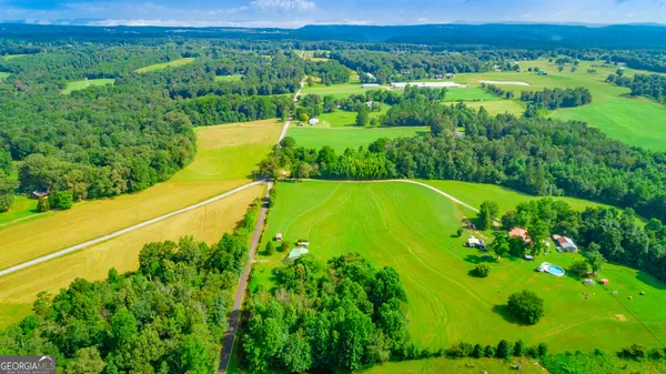 a view of a lush green forest with a houses in the background