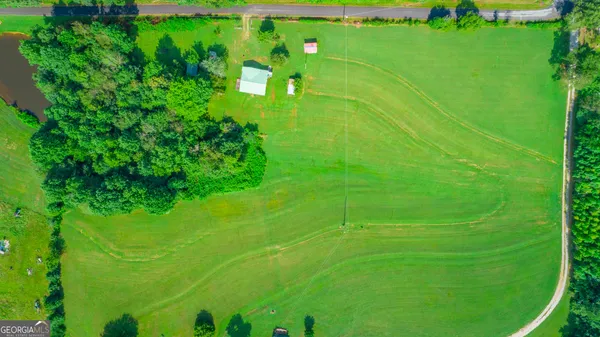 a green field with lots of green space