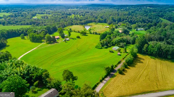 a view of a large trees with flower garden