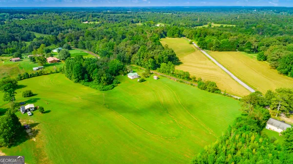 a view of a lush green space