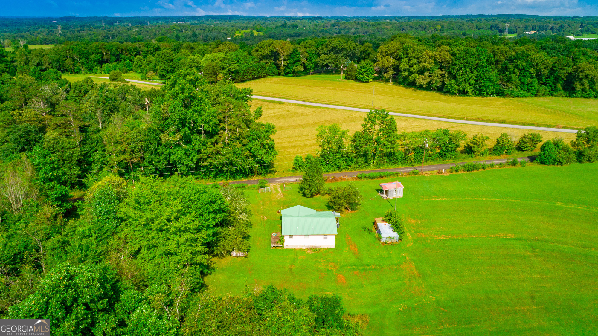 77 Bolton Road Trenton, GA 30752 - Photo 41 of 47 a view of a big yard with potted plants and large trees