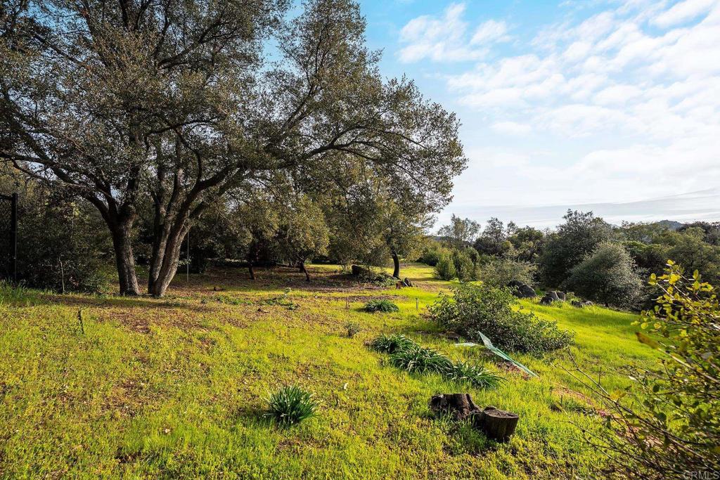 23002 Japatul Valley Road Alpine, CA 91901 - Photo 44 of 65 a view of yard with swimming pool and trees