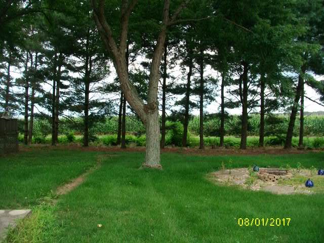 23815 Paulding Road Monroeville, IN 46773 - Photo 33 of 36