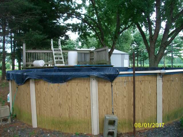 23815 Paulding Road Monroeville, IN 46773 - Photo 6 of 36