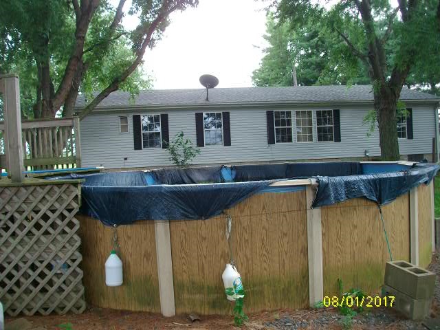 23815 Paulding Road Monroeville, IN 46773 - Photo 7 of 36