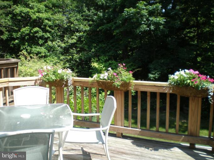 1593 Brass Lantern Way Reston, VA 20194 - Photo 14 of 18 Deck