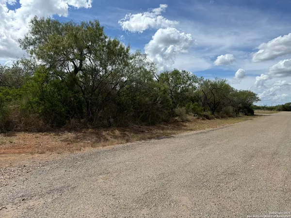 $18,000 | 220 County Road 4402, Dilley, TX 78017