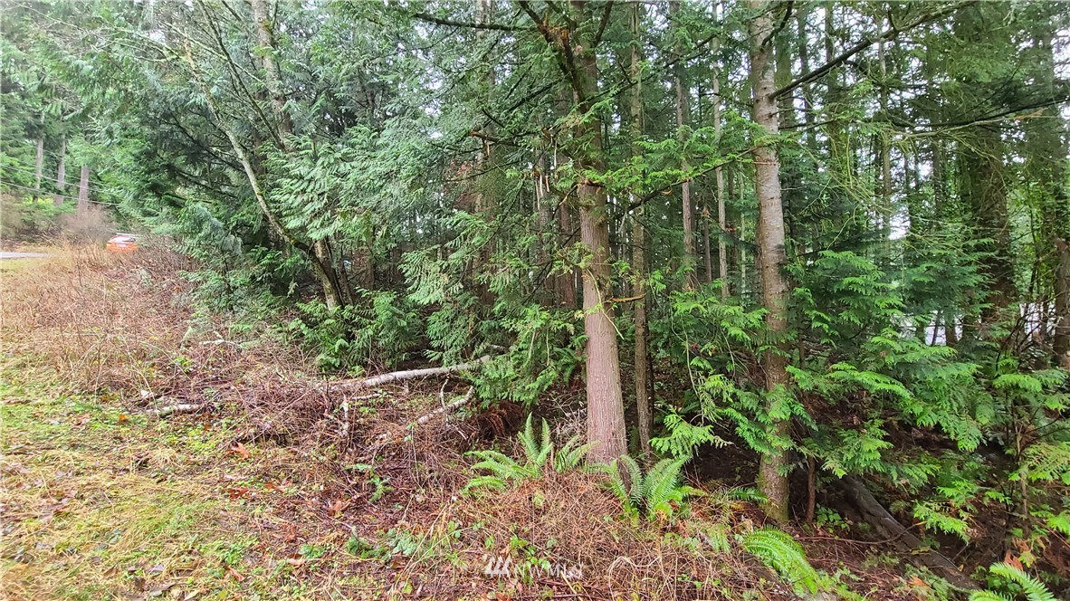 0 Agate Road Bellingham, WA 98226 - Photo 1 of 4 Gallery Image 1