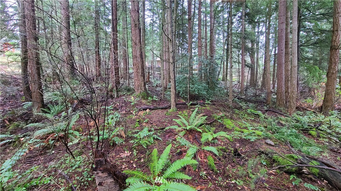 0 Agate Road Bellingham, WA 98226 - Photo 2 of 4 Gallery Image 2