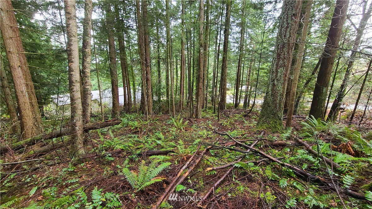 0 Agate Road Bellingham, WA 98226 - Photo 3 of 4 Gallery Image 3