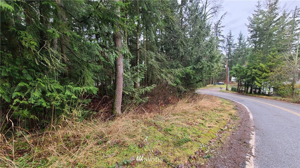 0 Agate Road Bellingham, WA 98226 - Photo 4 of 4 Gallery Image 4
