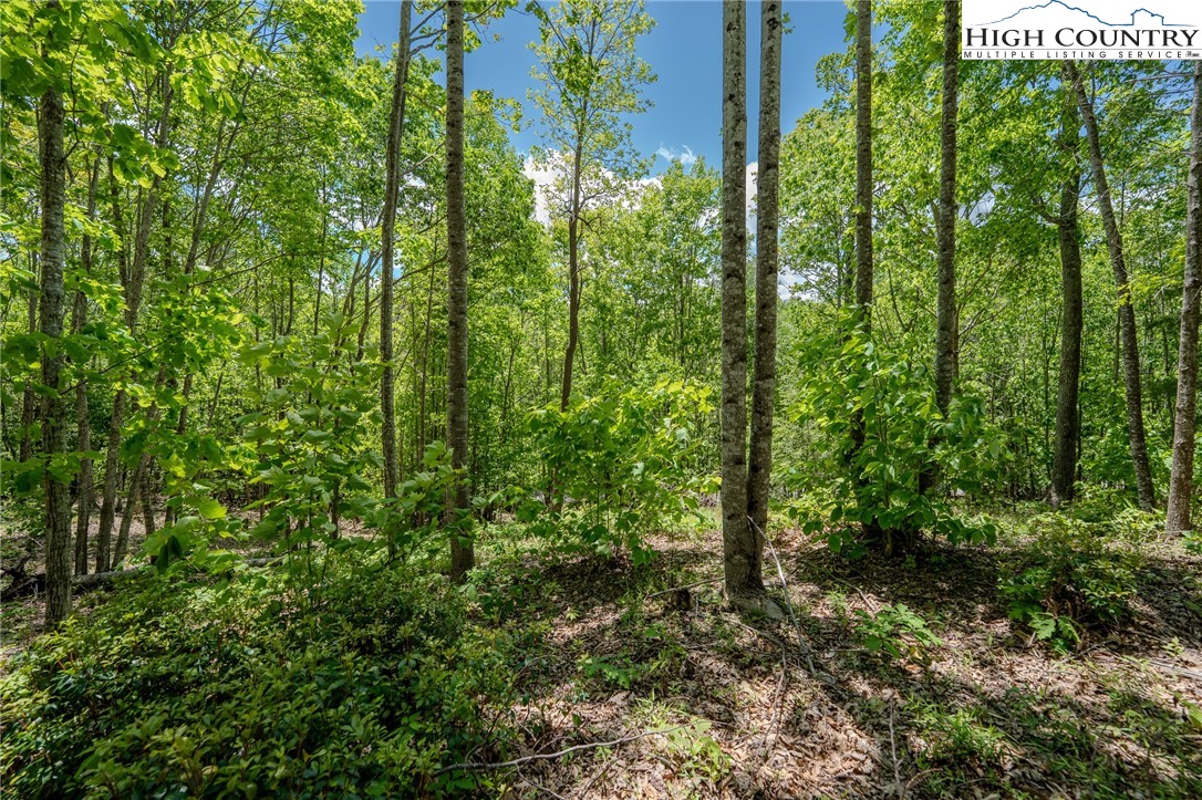 a view of outdoor space and garden