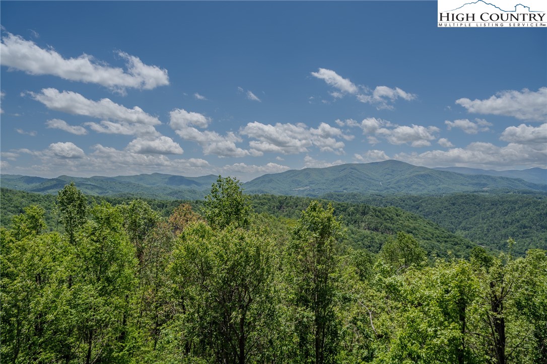 0 Beaver Dam Road Elk Park, NC 28622 - Photo 11 of 14 a view of a bunch of trees
