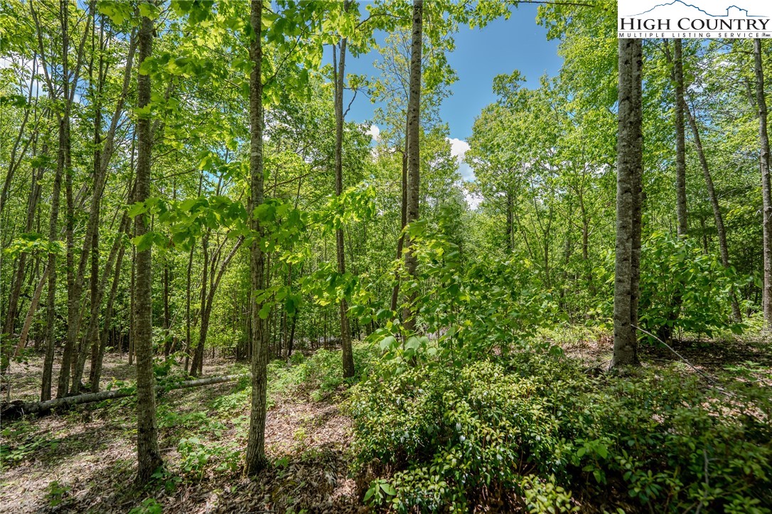 0 Beaver Dam Road Elk Park, NC 28622 - Photo 2 of 14