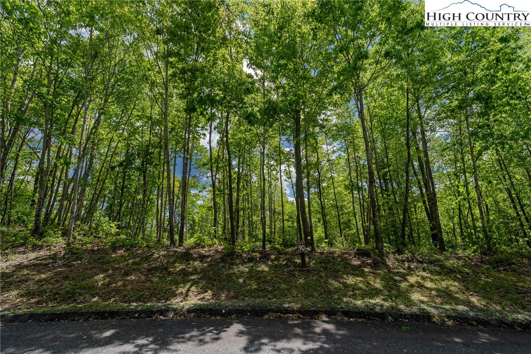 0 Beaver Dam Road Elk Park, NC 28622 - Photo 4 of 14 a view of outdoor space and green space