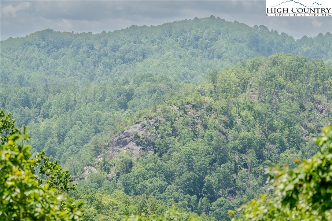 0 Beaver Dam Road Elk Park, NC 28622 - Photo 10 of 14 a view of a lush green field