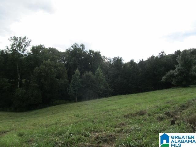 79 Highway 79, Unit 33 Cleveland, AL 35049 - Photo 12 of 32