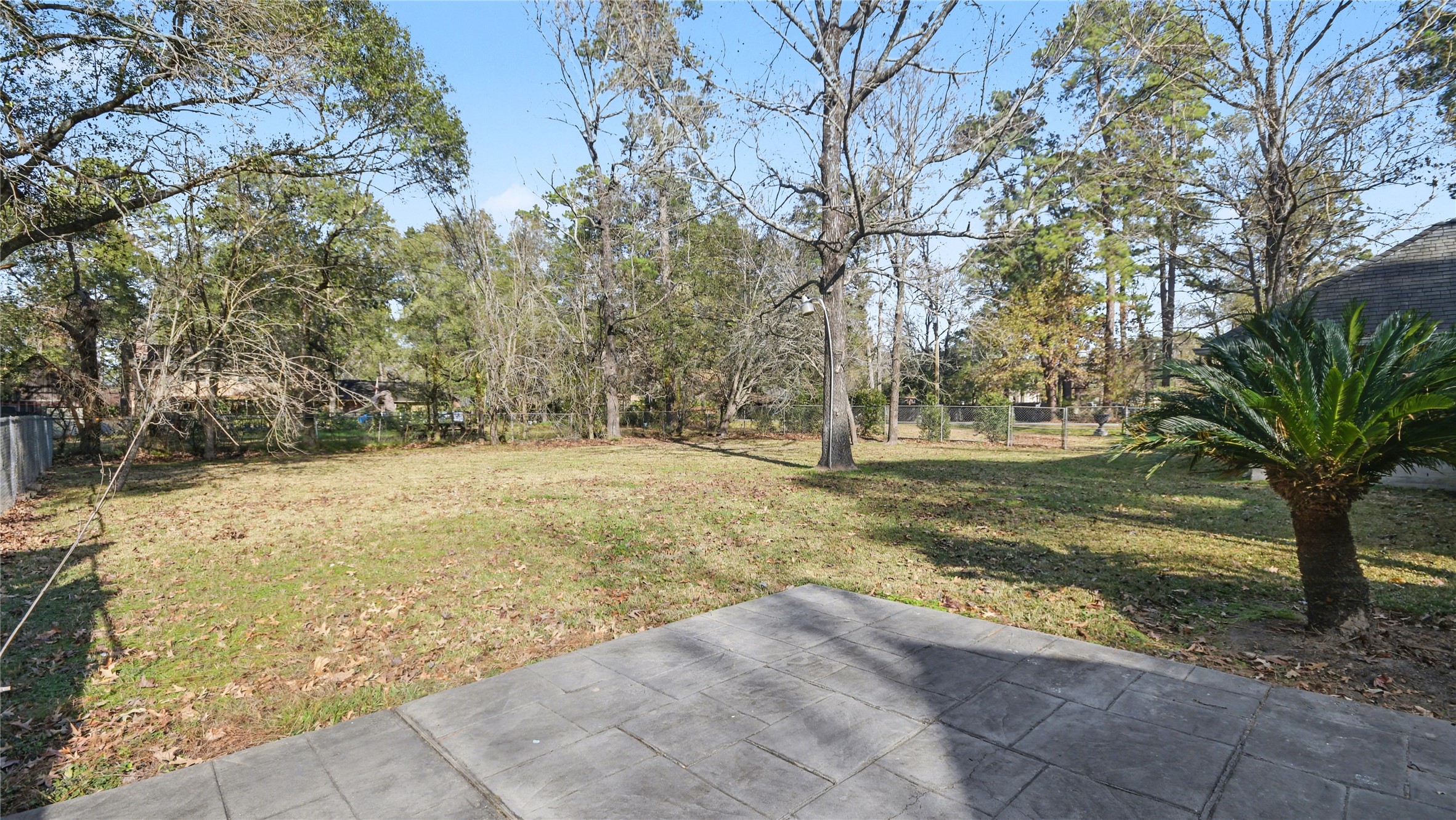 1431 Walnut Lane Houston, TX 77339 - Photo 42 of 46 Backyard with a concrete patio, surrounded by mature trees and a lush lawn, providing a serene and private outdoor space.