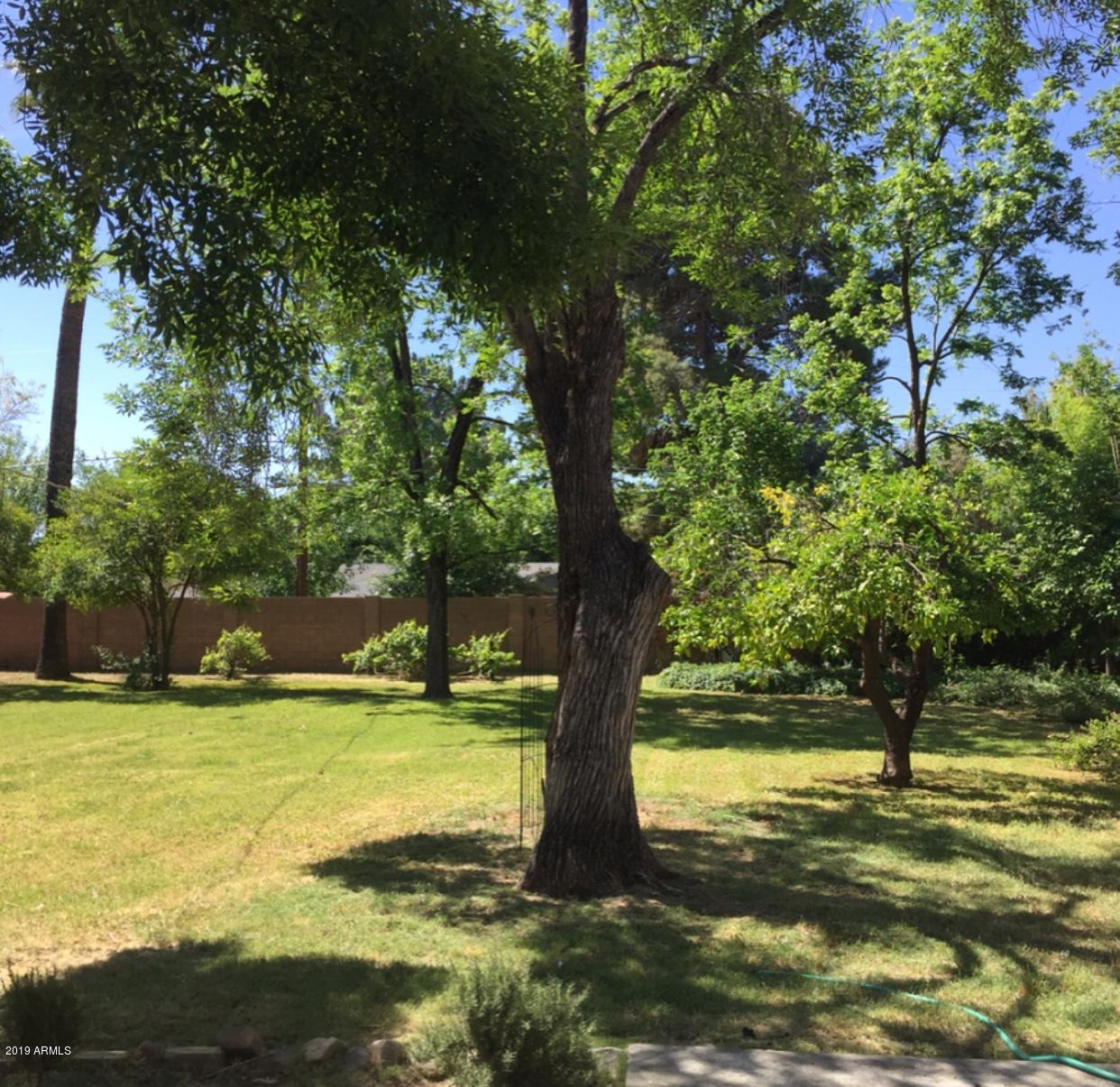 203 East Griswold Road, Unit 4 Phoenix, AZ 85020 - Photo 1 of 1 RARE FIND! CENTRAL PHX LOT!